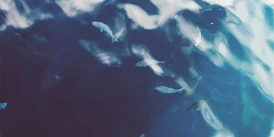 火影小队突袭策略
